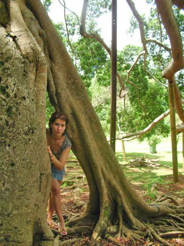 ��������� � ������, ���-�����.