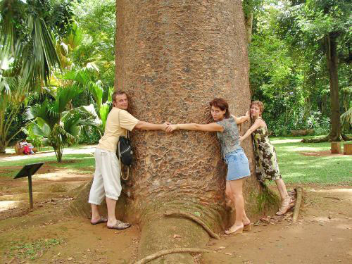 �������, ���-�����.