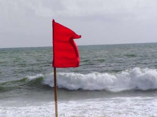 �������� �����������, ���-�����.