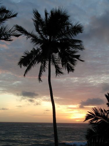 �����, ���-�����.