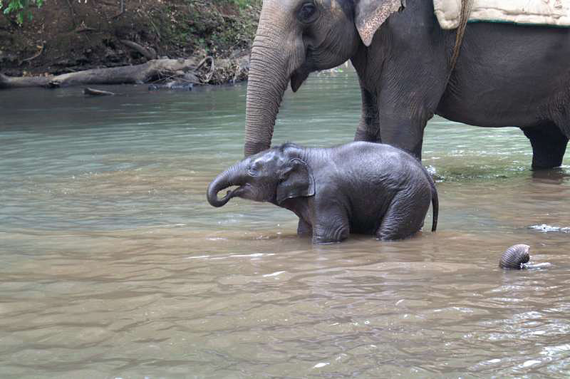 �����, ���, �����.