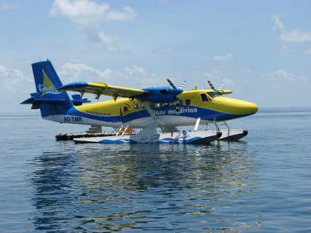 ������������.