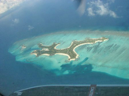 ���� �� �������������.