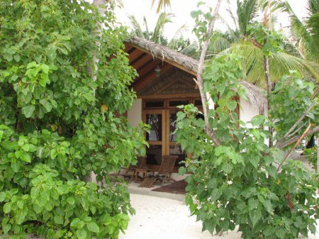 ��� ���, ����������� ������.