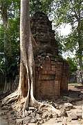    (Angkor),    (Ta Prohm Wat), - (Siem Reap), . (427x640 168Kb)