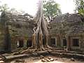    (Angkor),    (Ta Prohm Wat), - (Siem Reap), . (700x525 151Kb)