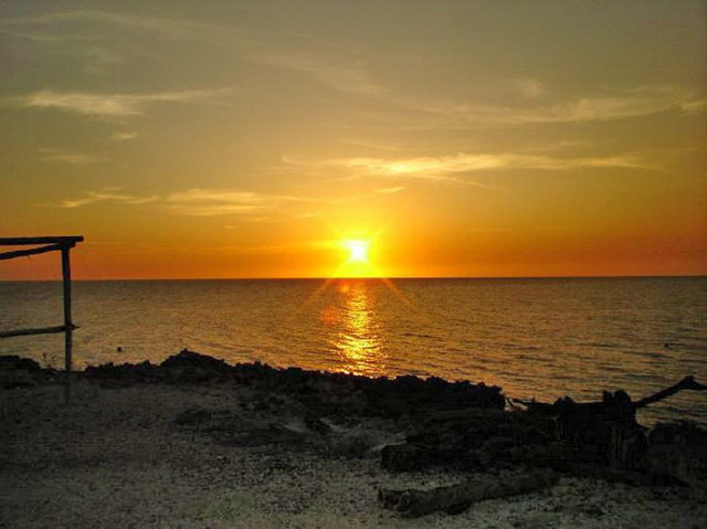 �����, ������.