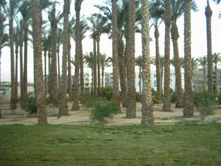 ��������, �������, ��� ���������� �� �������� �����, � �� ����� ������, ������.