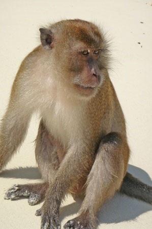 �.������, �������.