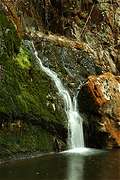 Lilydale Falls, Тасмания (426x640 123Kb)