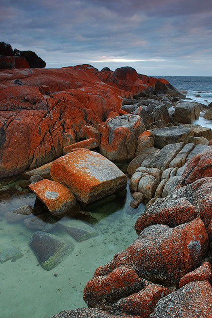Bay of Fires, 