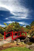 Китайский сад в Ботаническом саду Хобарта, Тасмания (427x640 119Kb)